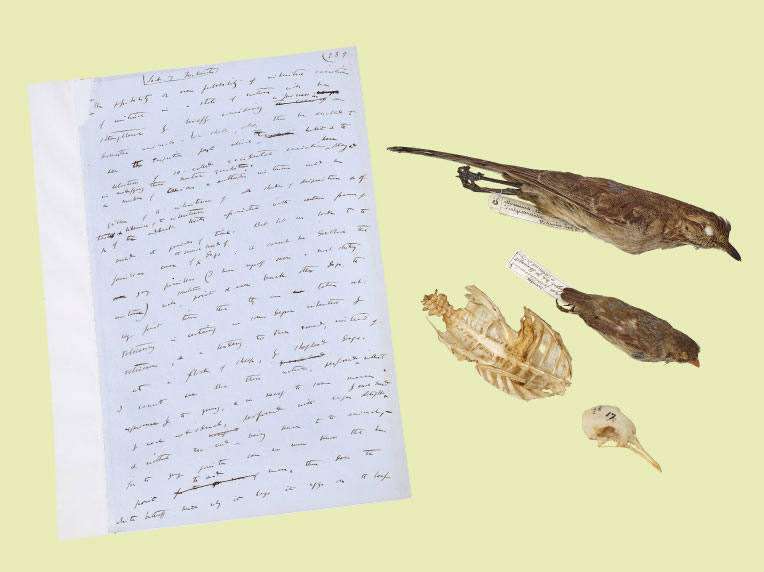 Darwin’s On the Origin of Species manuscript